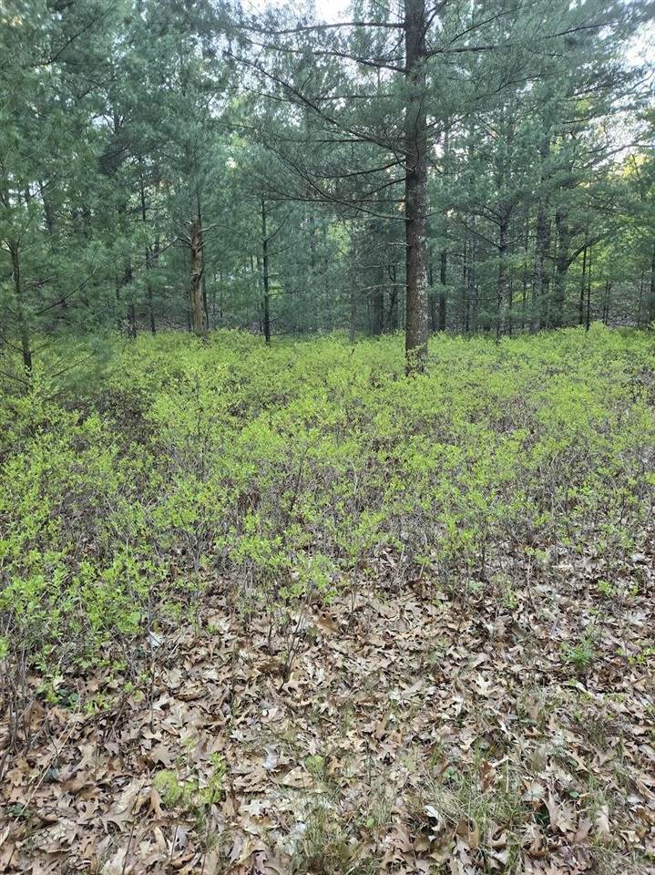 V/L Pentwater - Photo 1