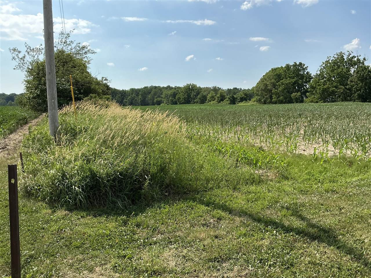 10395 Paris - Photo 1