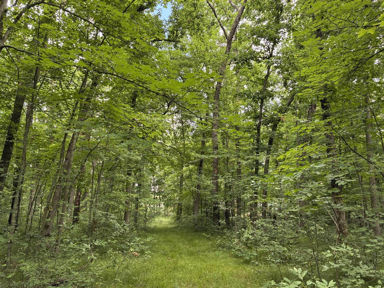 8934 48th - Photo 1