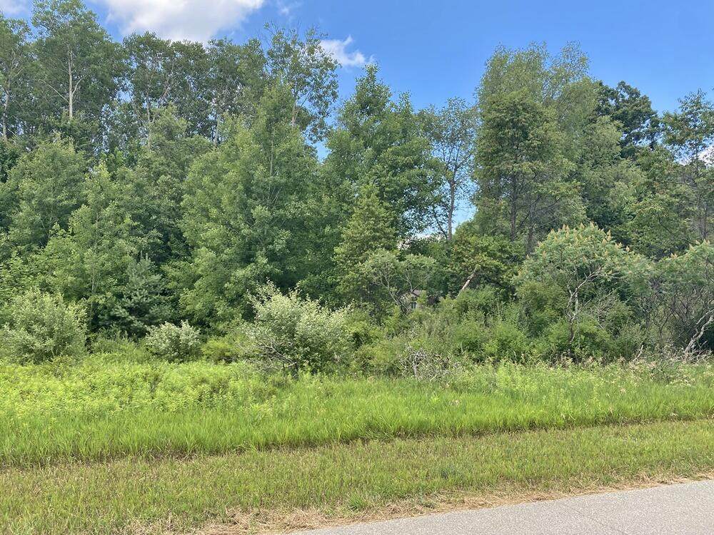 11390 Old Pierce - Photo 1
