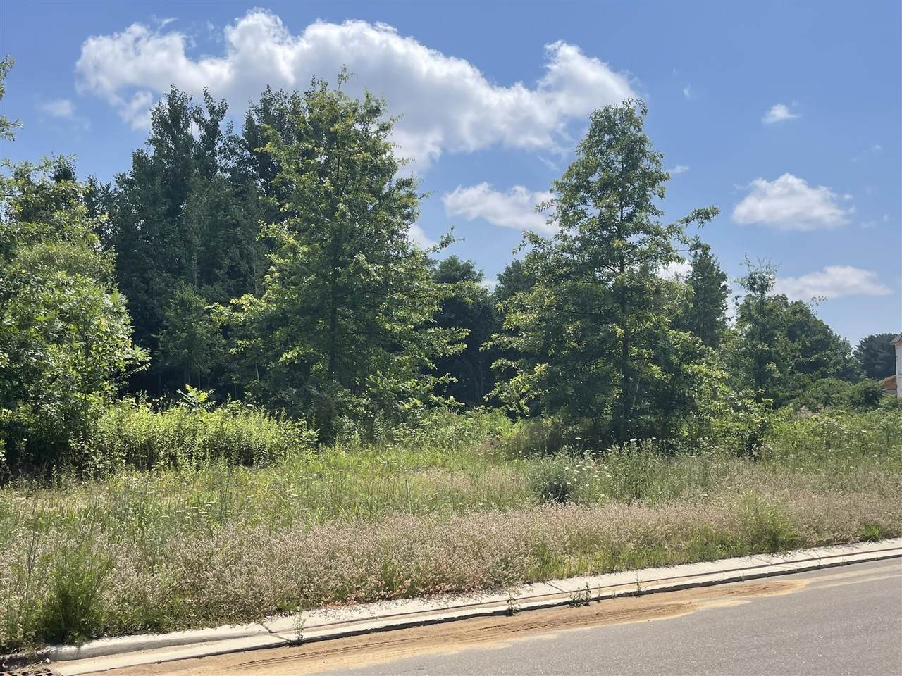 Lot 44 Foxboro - Photo 1