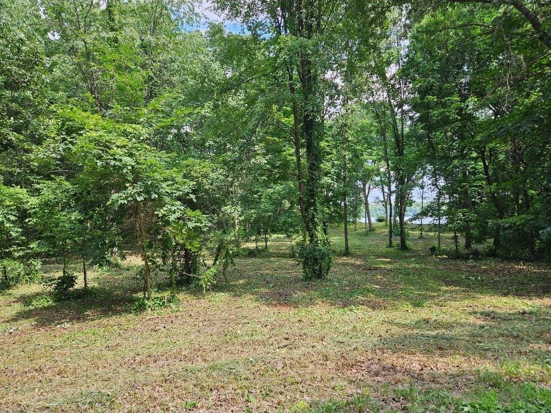 23-24 James - Photo 1