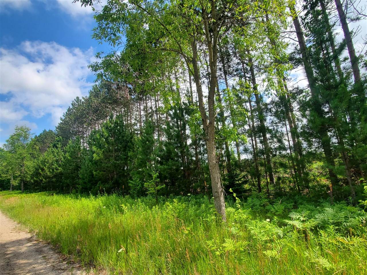 80 ACRES Beall - Photo 1