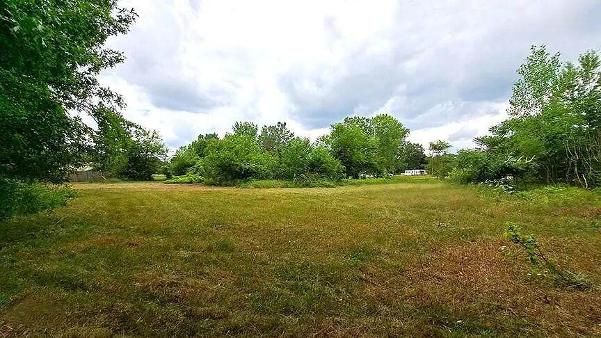 893 Vogel - Photo 1