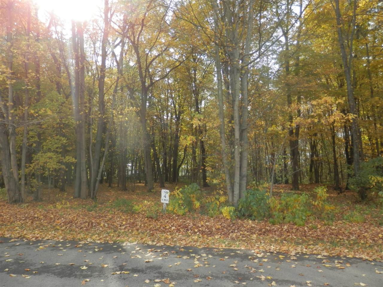 4 Harlan - Photo 1