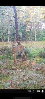 4177 Michway - Photo 3