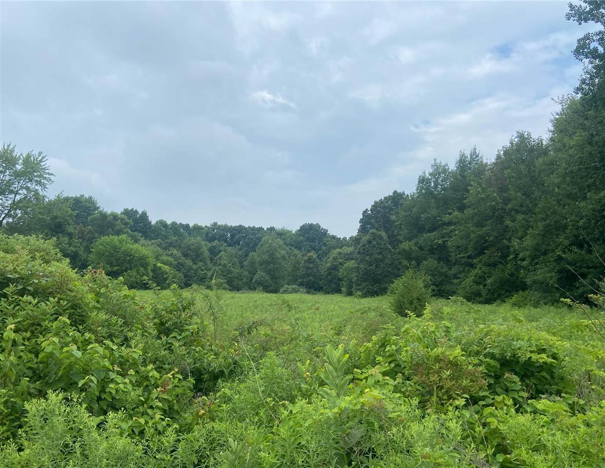 52700 Parkville - Photo 1