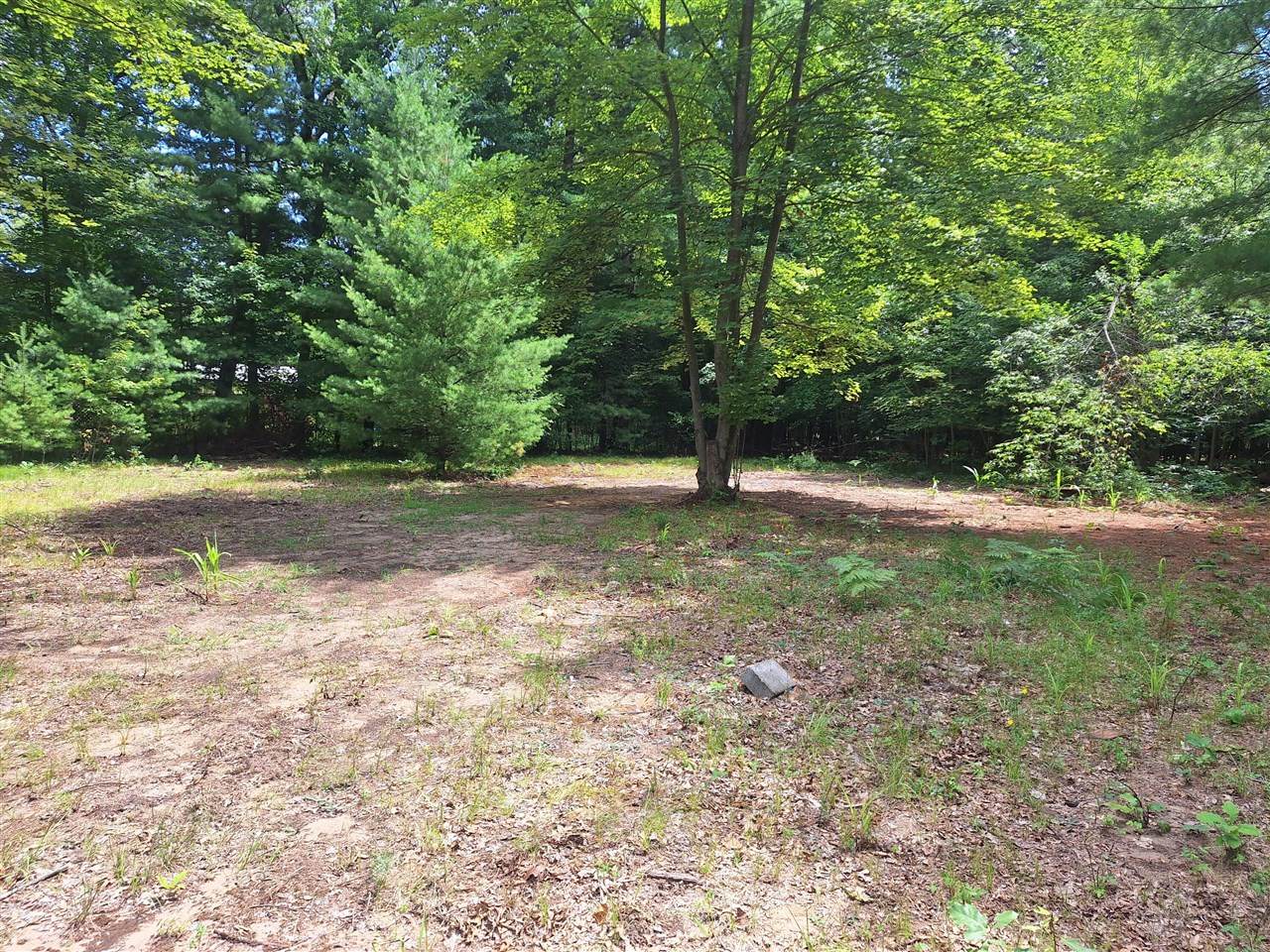 5558 King - Photo 1