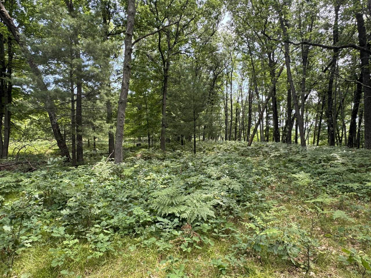 3213 Frank Smith Rd. - Photo 1