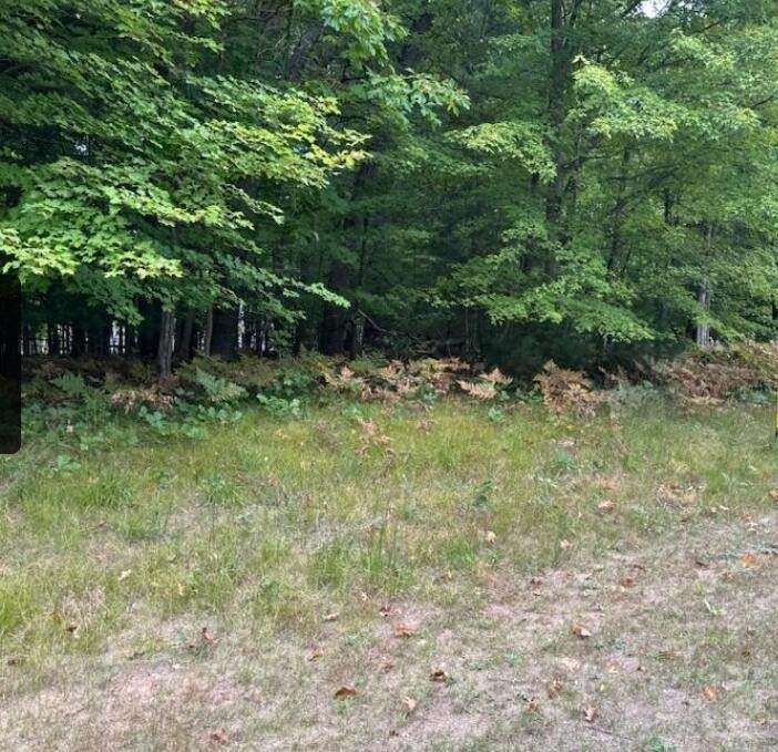 7250 Oak Meadow - Photo 1