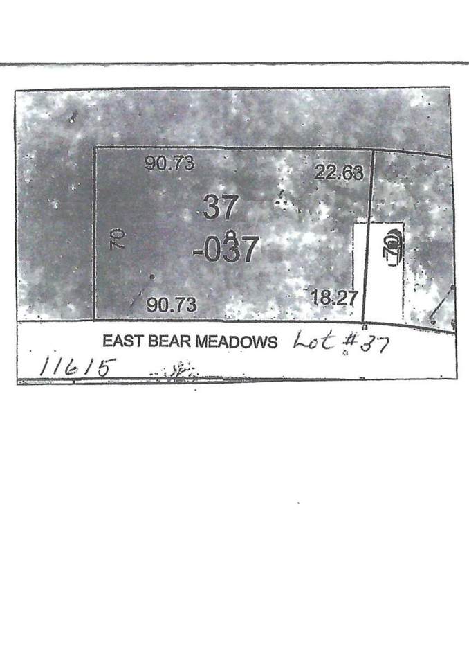 11615 Bear - Photo 1