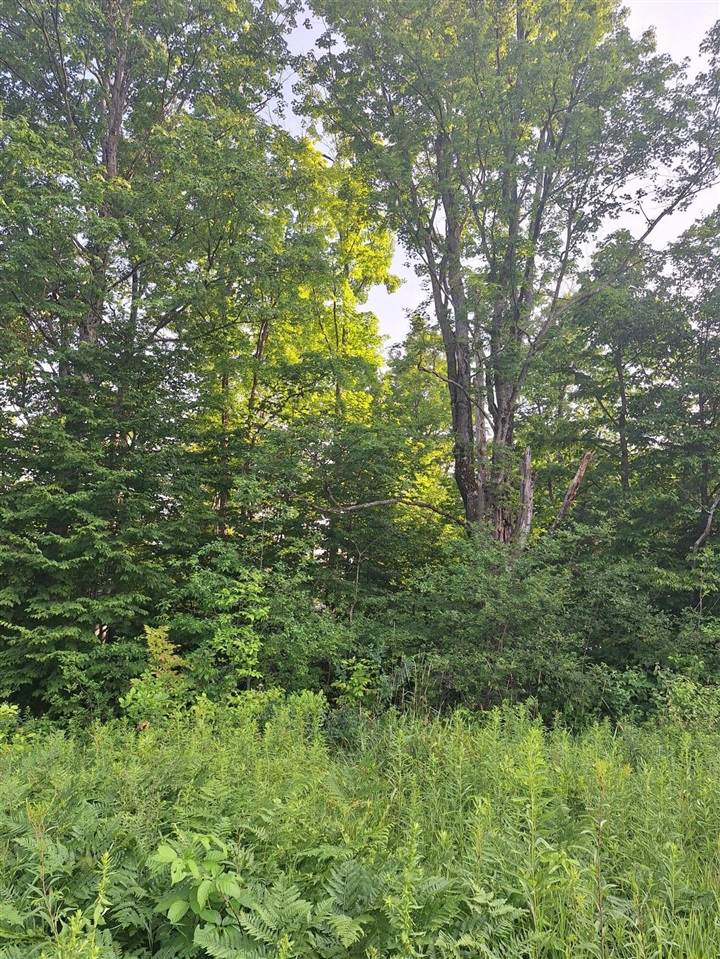 00 14 Mile Rd - Photo 1