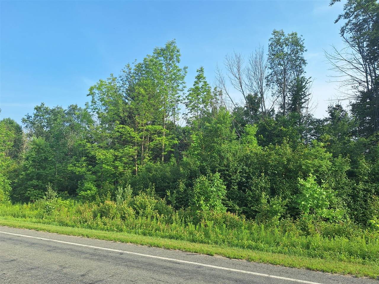 000 14 Mile Rd - Photo 1