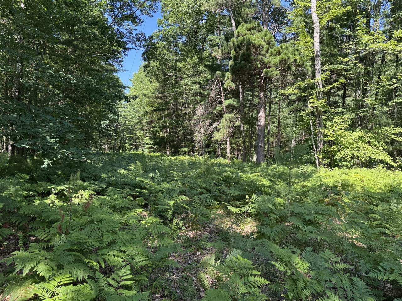 Arquilla Creek - Photo 1
