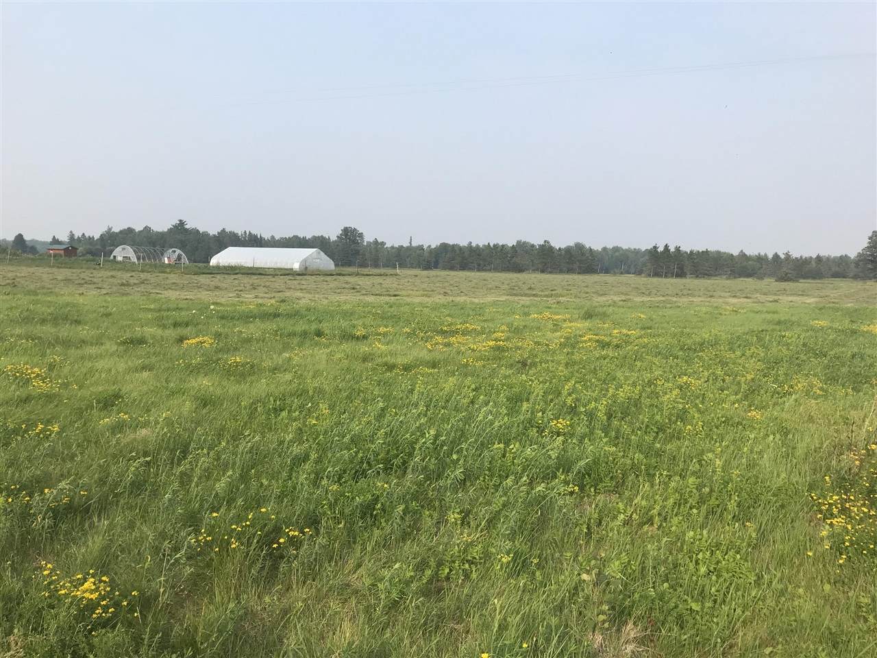 21955 Steinbeck - Photo 1