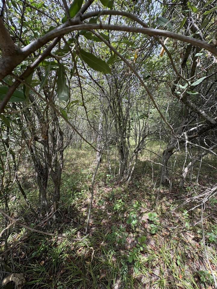  Lot 519 & 520 Lake Miramachi - Photo 1