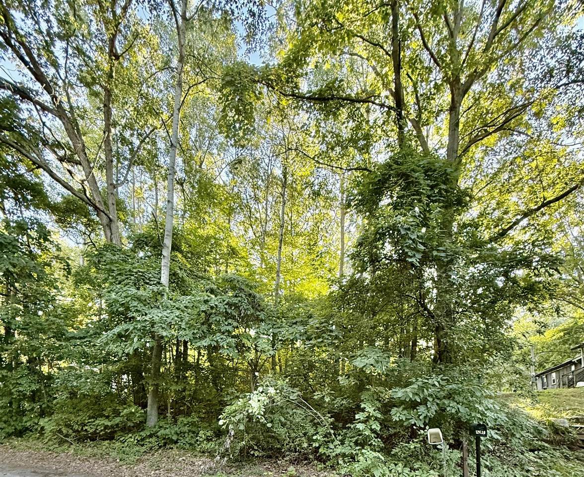 12432 Mcmurty - Photo 1