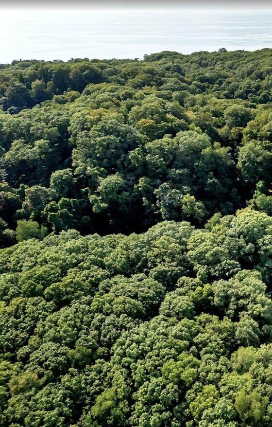 12879 Lakeshore - Photo 1