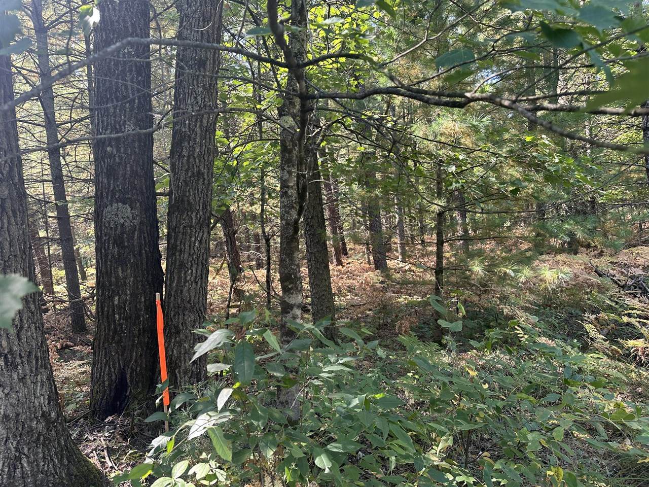 PAR D 16th - Photo 1