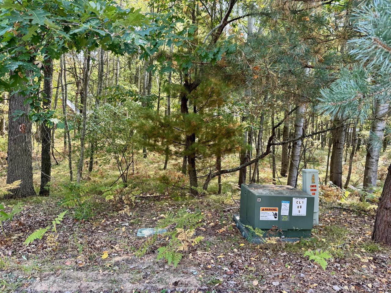 6742 Abbey - Photo 1