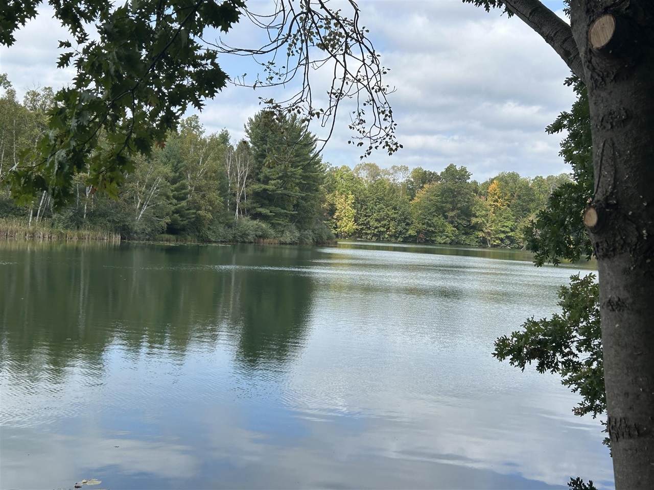 8601 N. Island - Photo 1