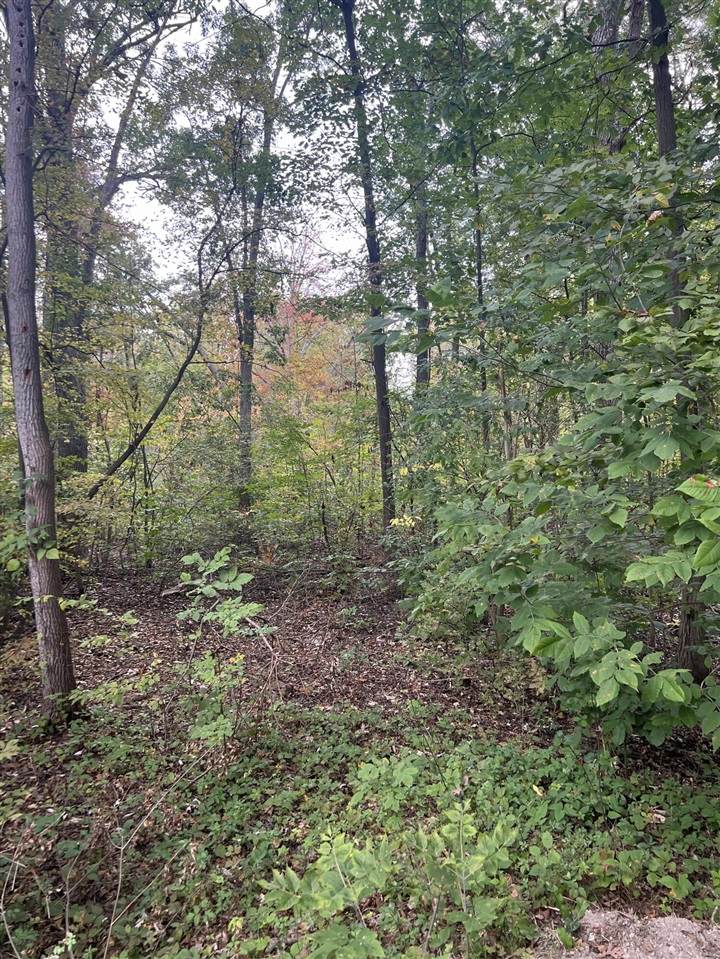  V/L Riverdale Rd - Photo 1