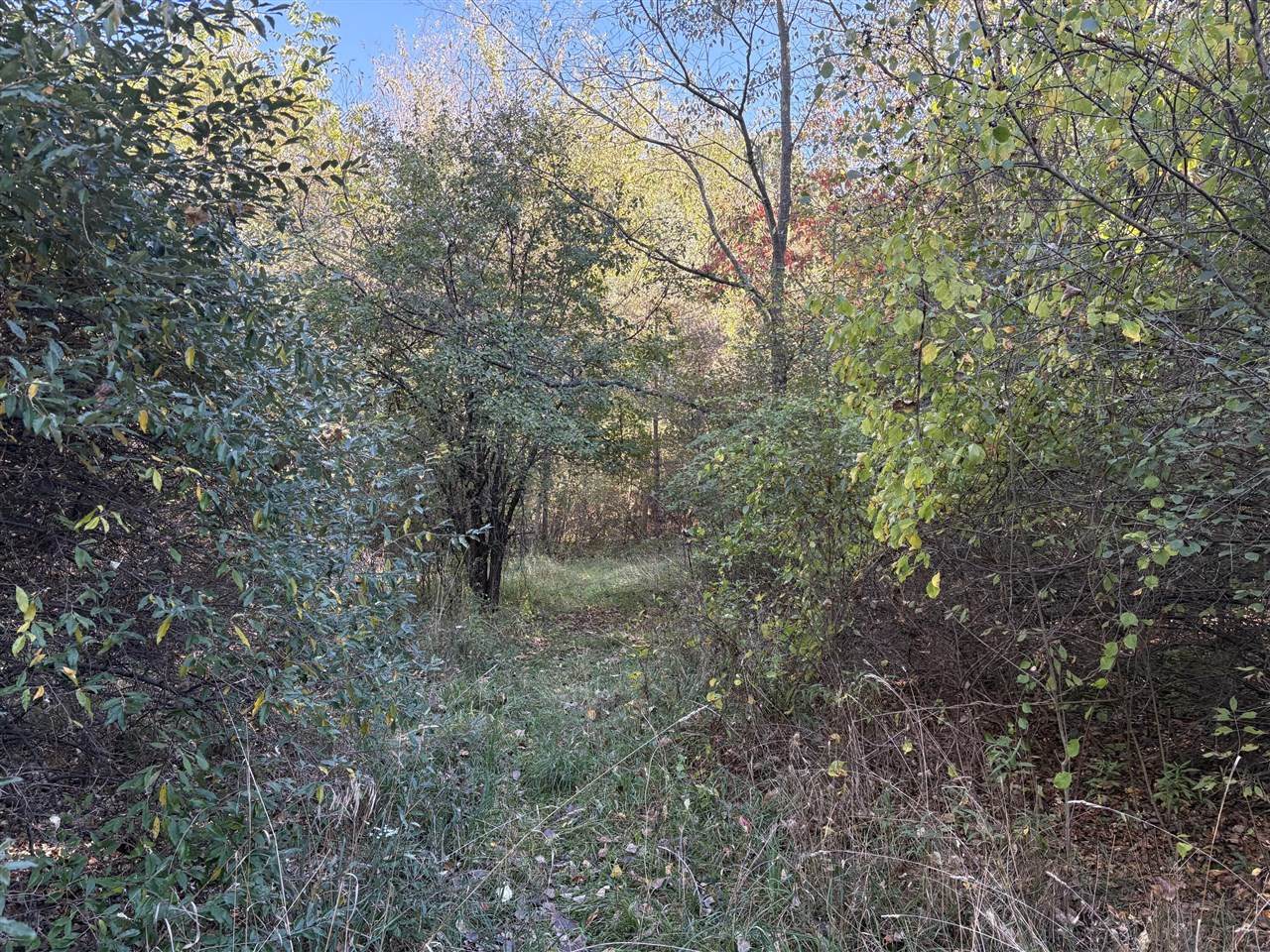 https://bt-photos.global.ssl.fastly.net/realsource/orig_boomver_1_70499308-2.jpg