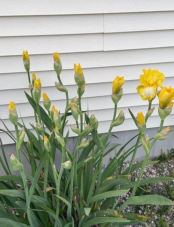 8433 Rolling Meadows - Photo 1