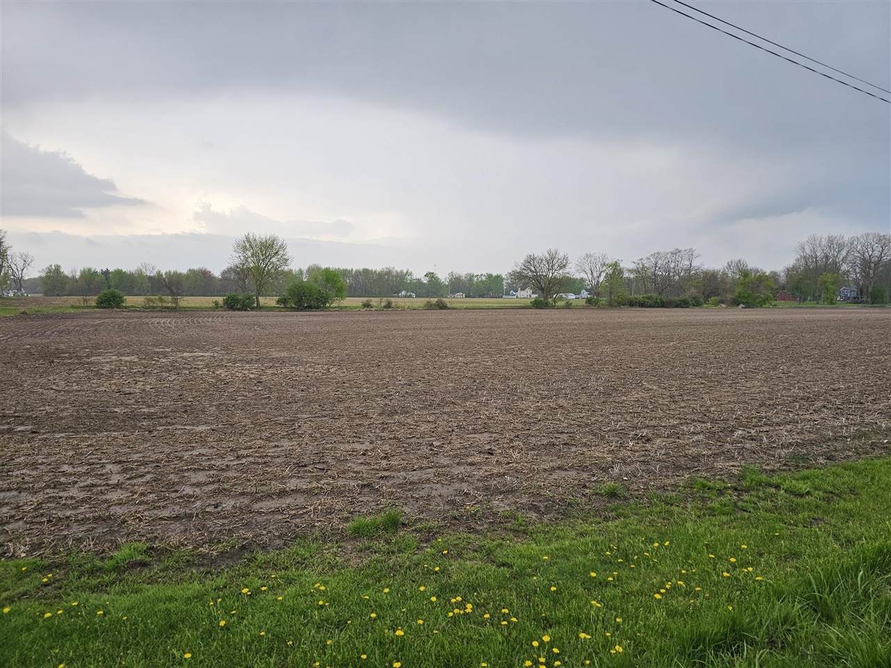 0000 Kruger - Photo 1