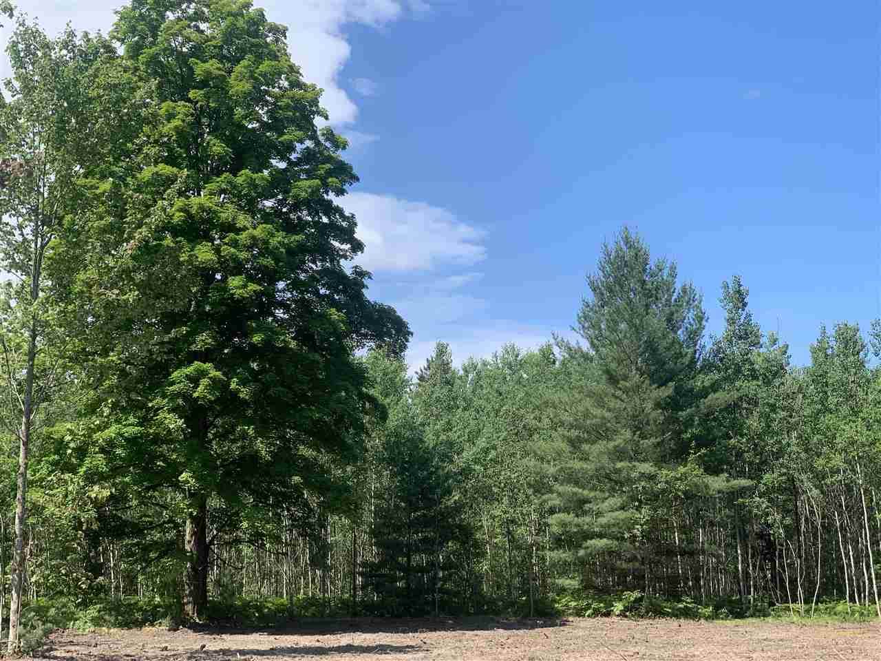 Lot 11 Metzgar Road - Photo 1