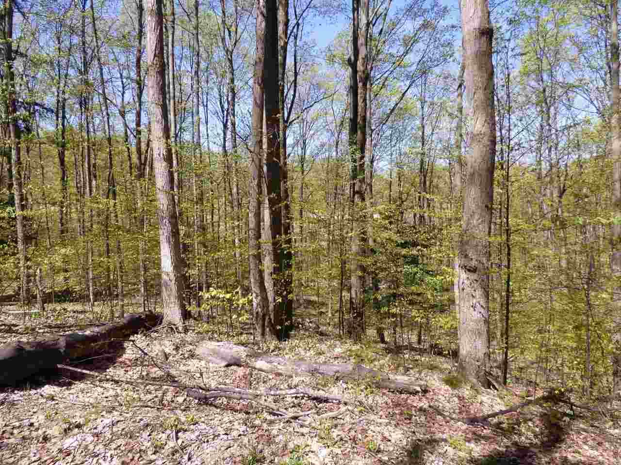 Parcel B Broken Arrow - Photo 1