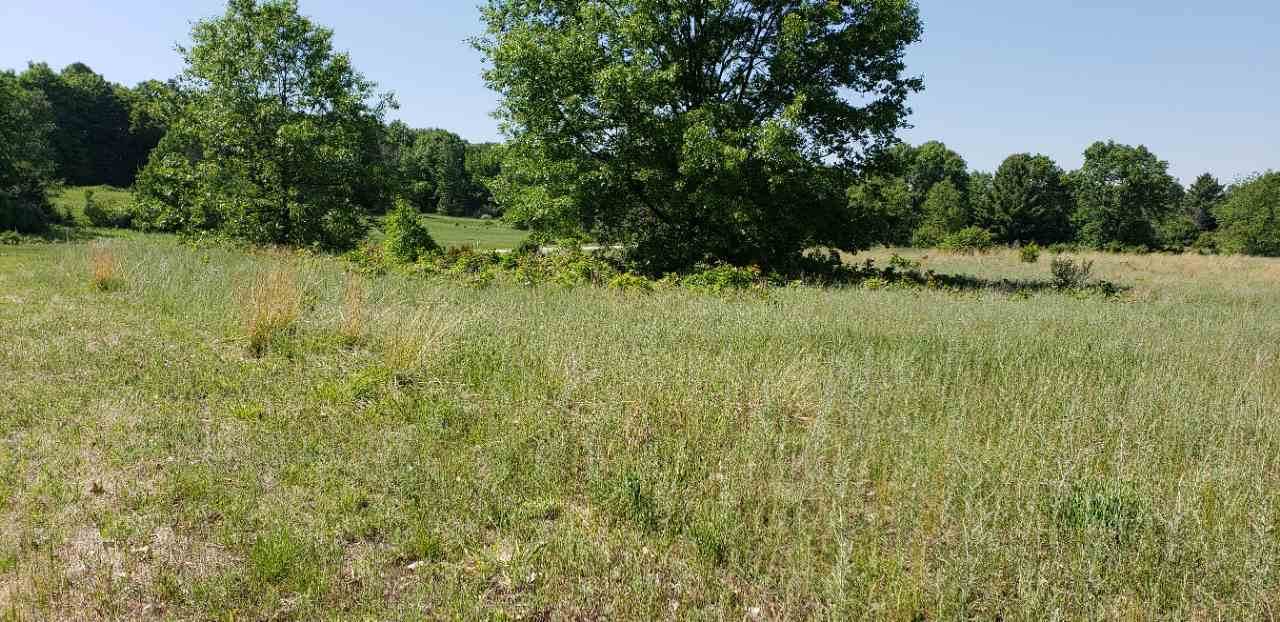 Lot 35 Alden Meadows - Photo 1
