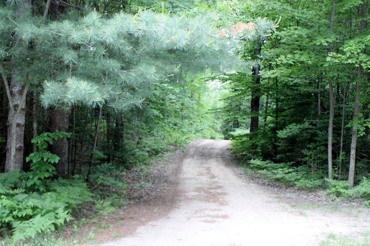 1016 Woodchuck - Photo 1