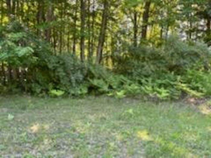 N/A Huron Woods - Photo 1