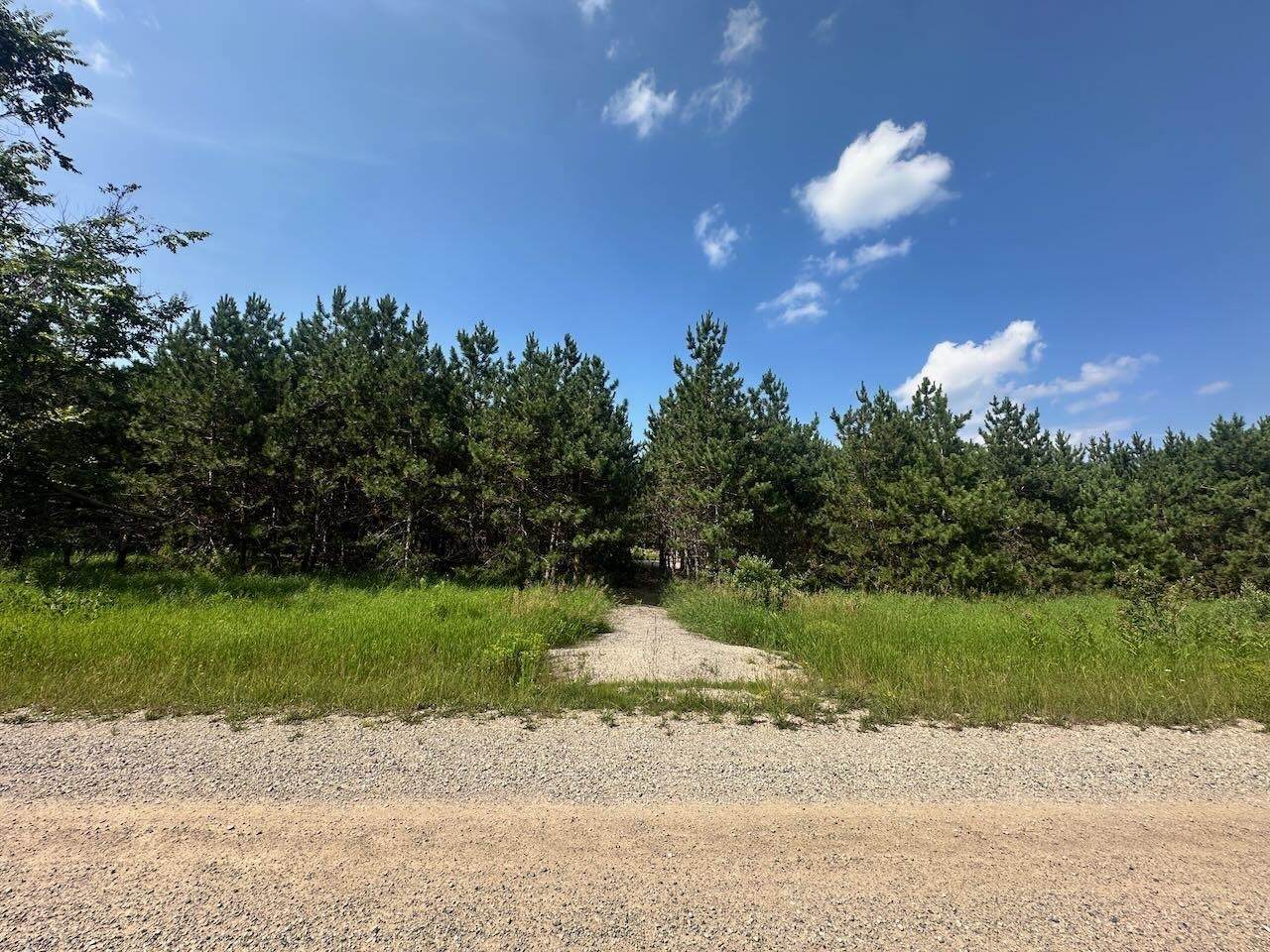 7304 Hemstreet - Photo 1