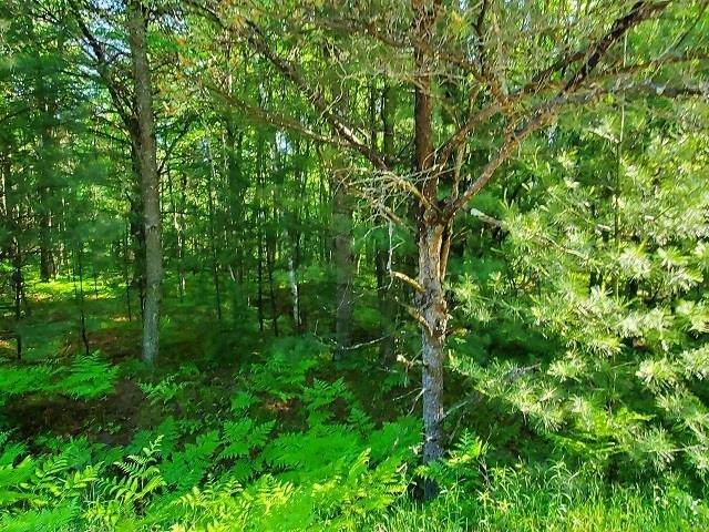 0 Hillside - Photo 1