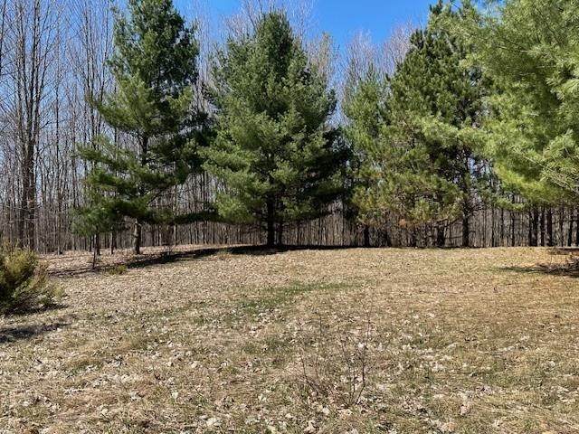 Lots D & E Torch Lake - Photo 1