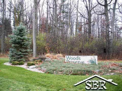37 Woods Preserve - Photo 1