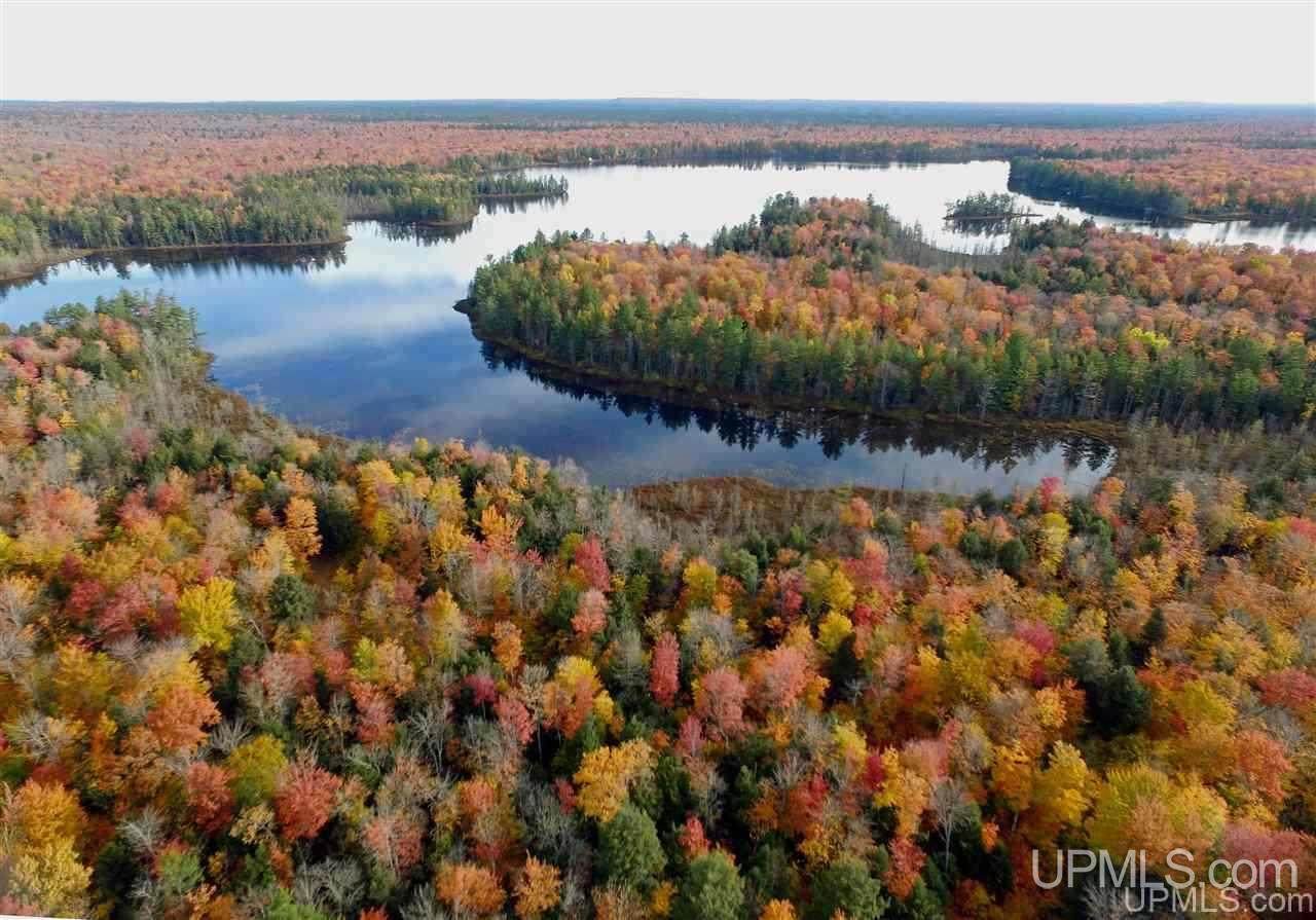 0000 Nevins Lake - Photo 1
