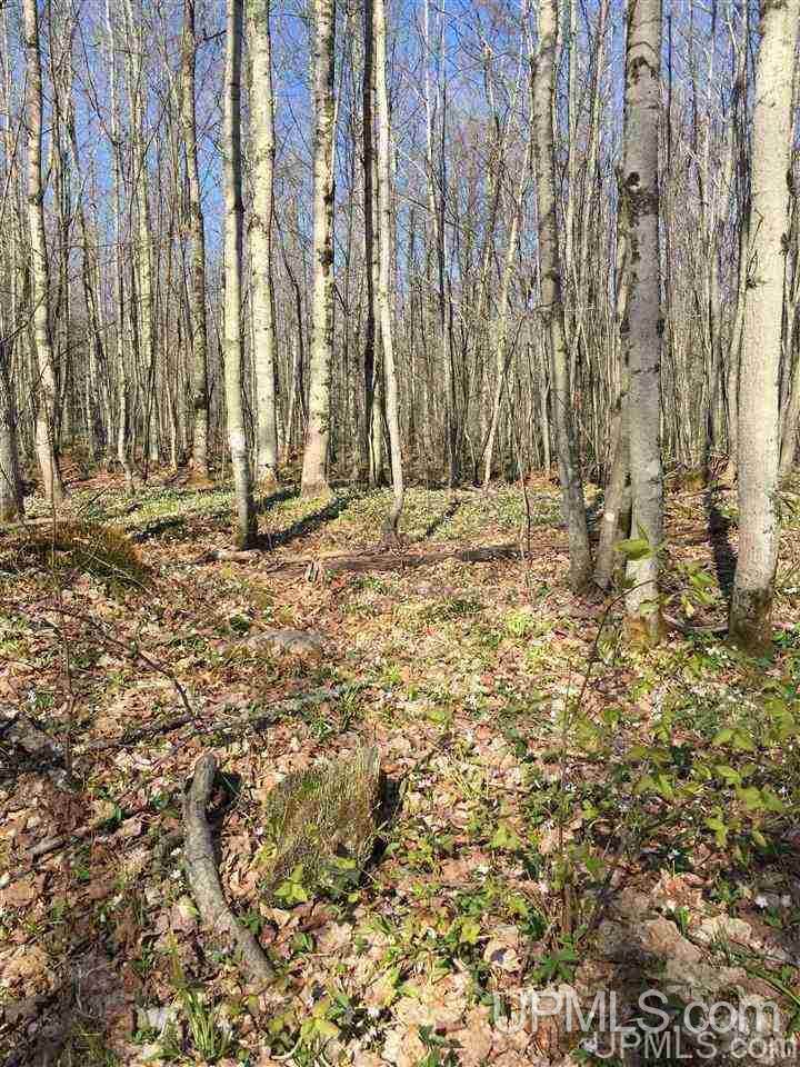 0000 Deerton Sand Lake Rd - Photo 1