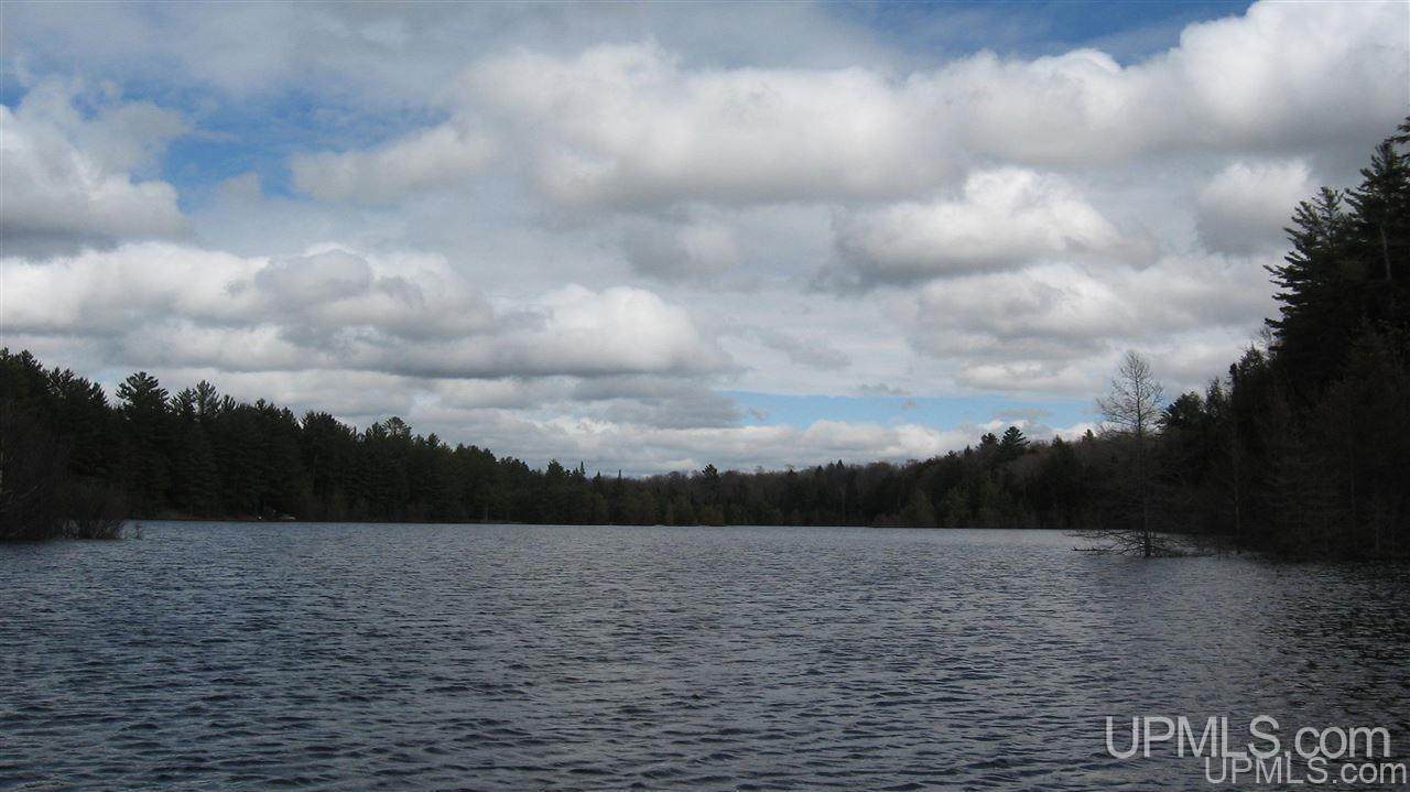 0000 Co Rd 415 - Photo 1