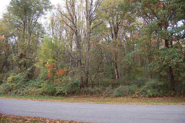 Campbell Lake Dr - Photo 1