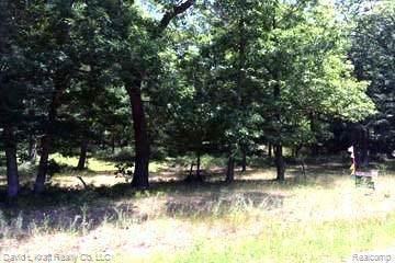 7561 Sand Rd - Photo 1