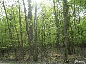 0000 Sherborn - Photo 1