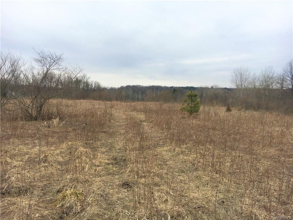 Hidden Lake Trail - Photo 1