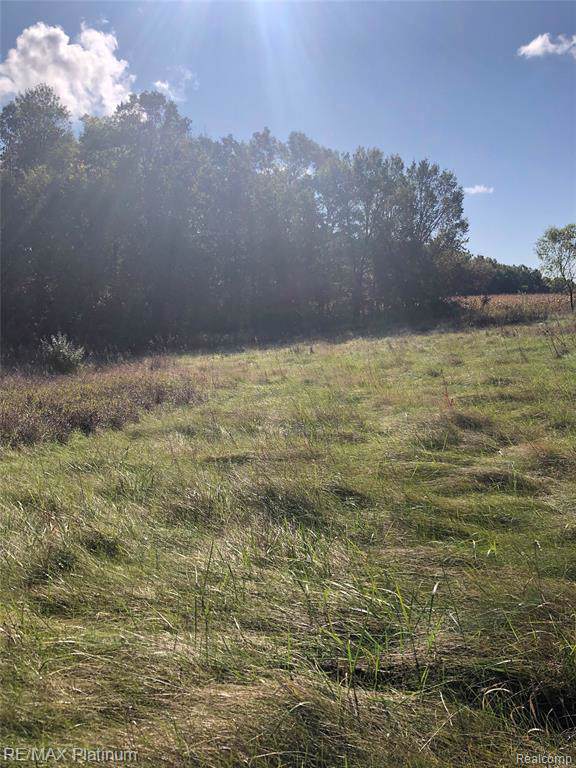 Hayridge Lane - Photo 1