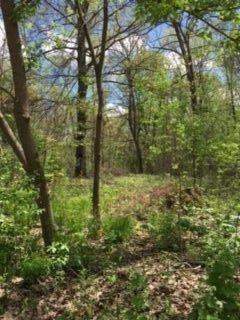 0 Six Mile Rd - Photo 1