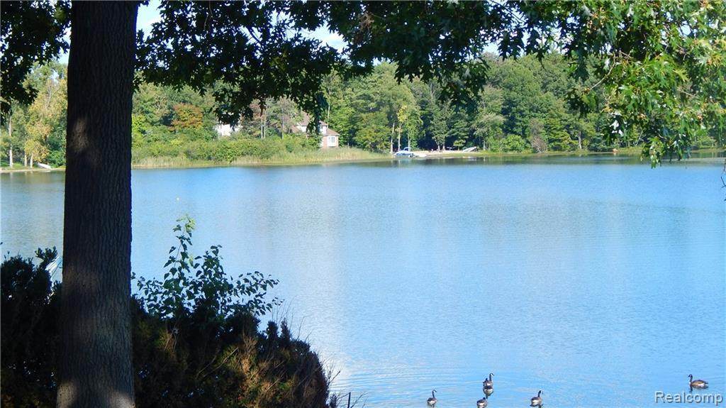 Between 1191 an Beach Dr - Photo 1