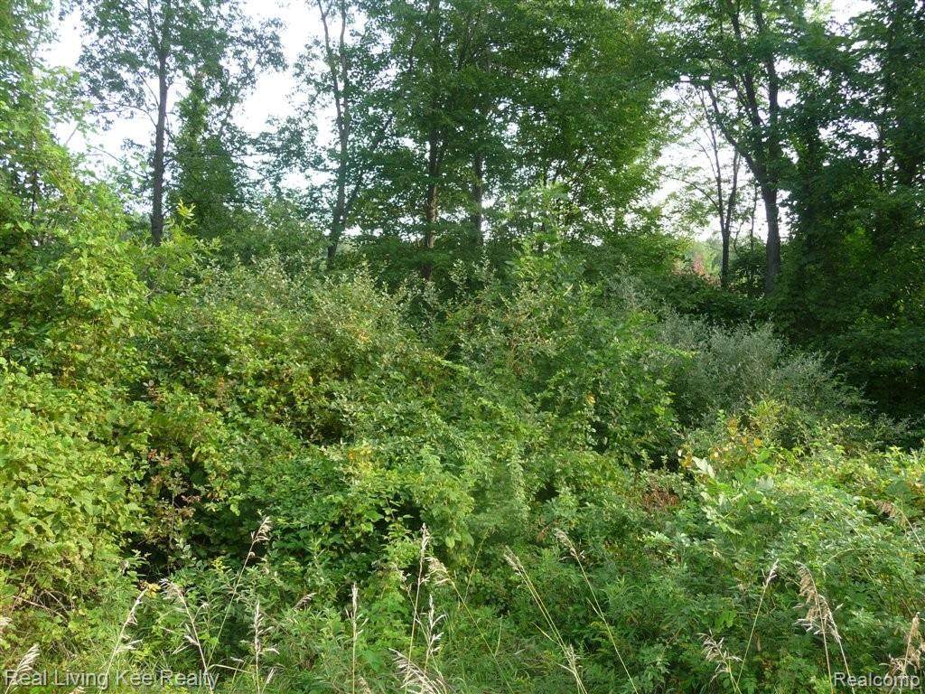 00 Burgess Rd - Photo 1