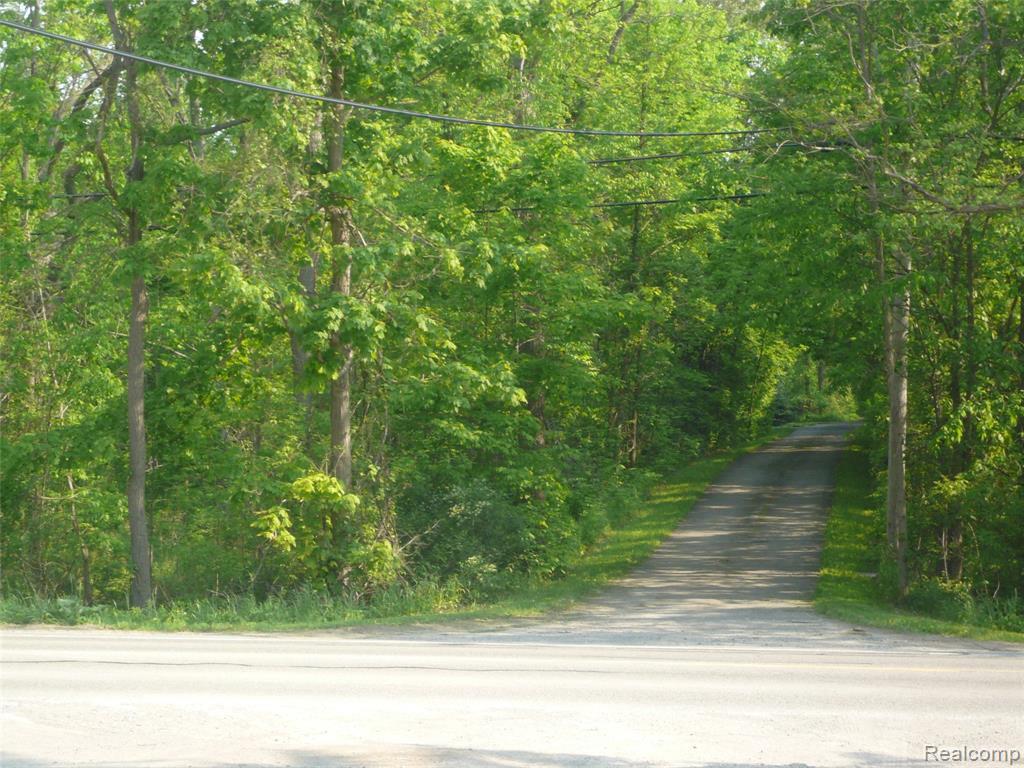 0 Romeo Road - Photo 1